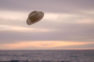 
            Flying hat		